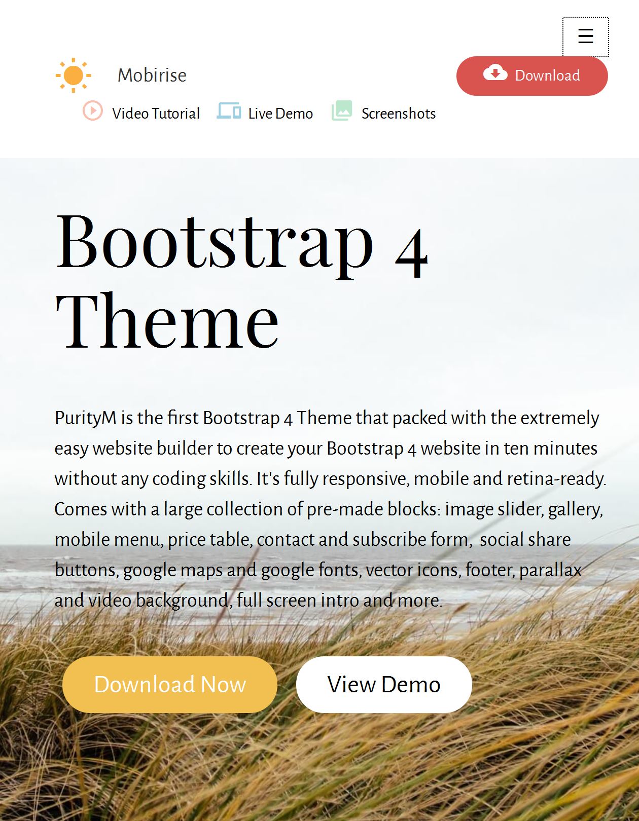 Bootstrap Template Responsive