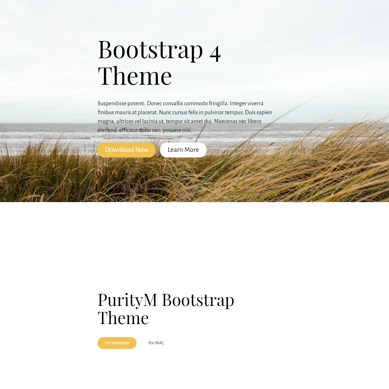 Free Bootstrap 4 Templates