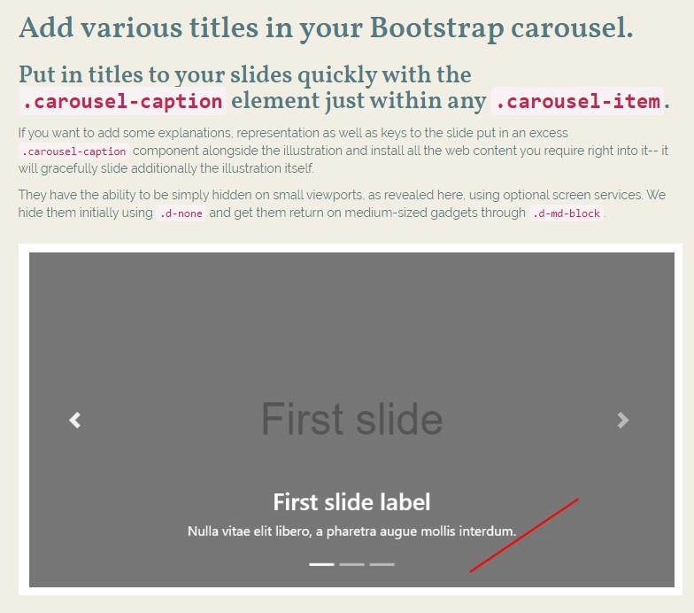  Carousel Slider Example 