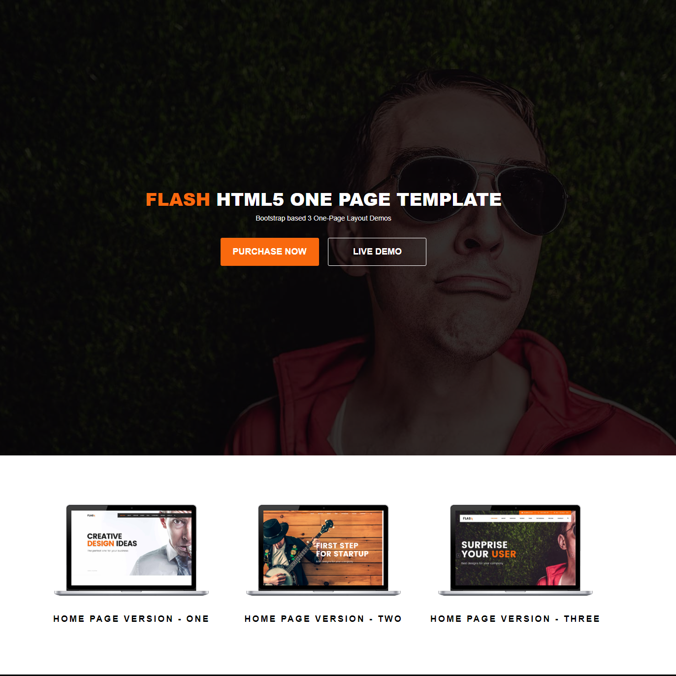 HTML Bootstrap Flash Themes