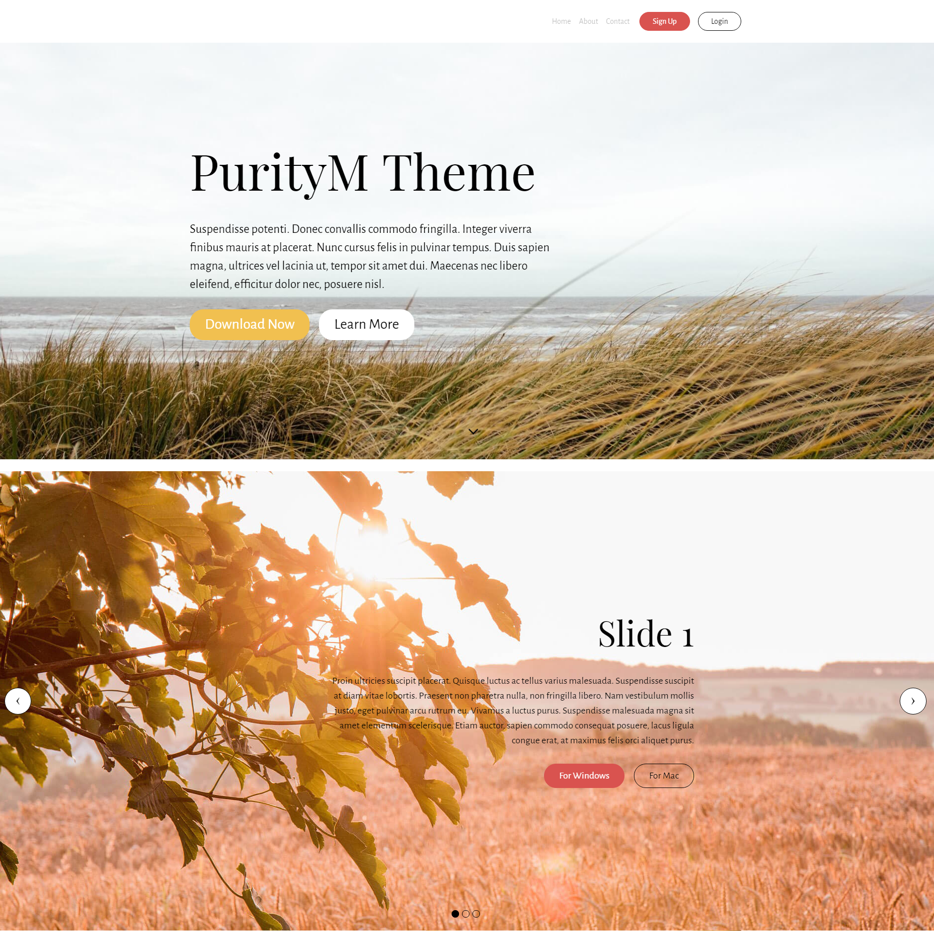 Free Bootstrap PurityM Templates