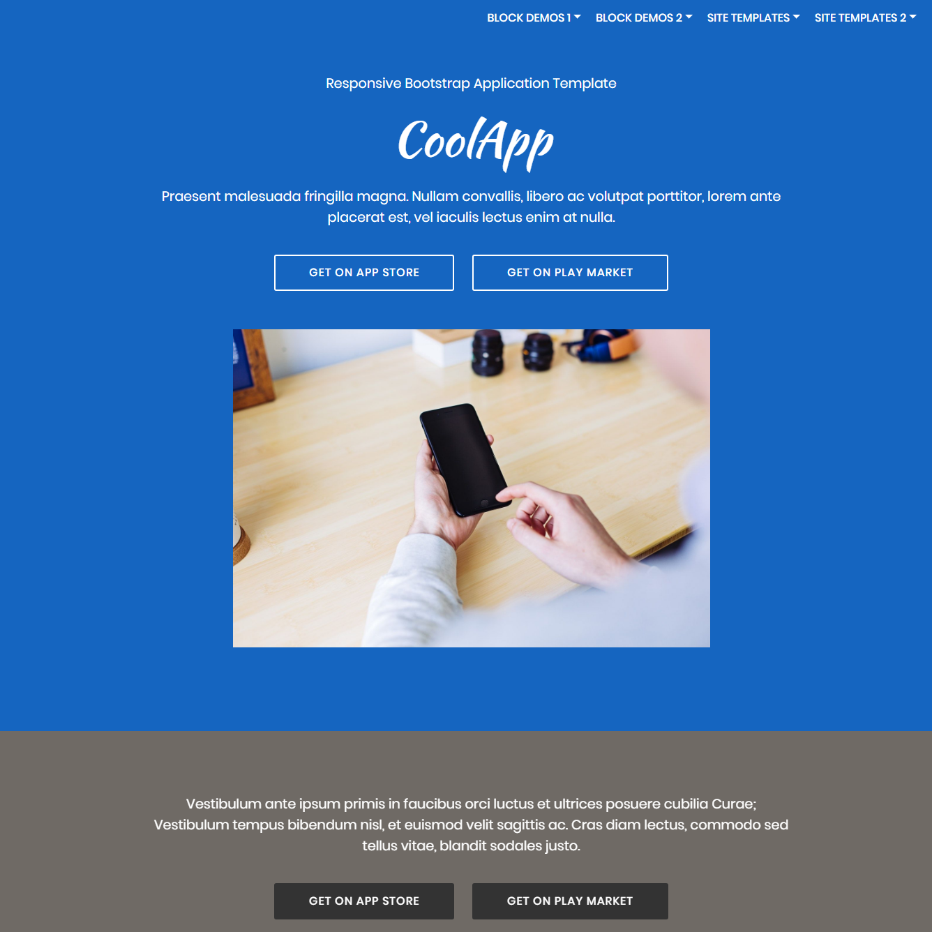 Responsive Bootstrap Application Templates