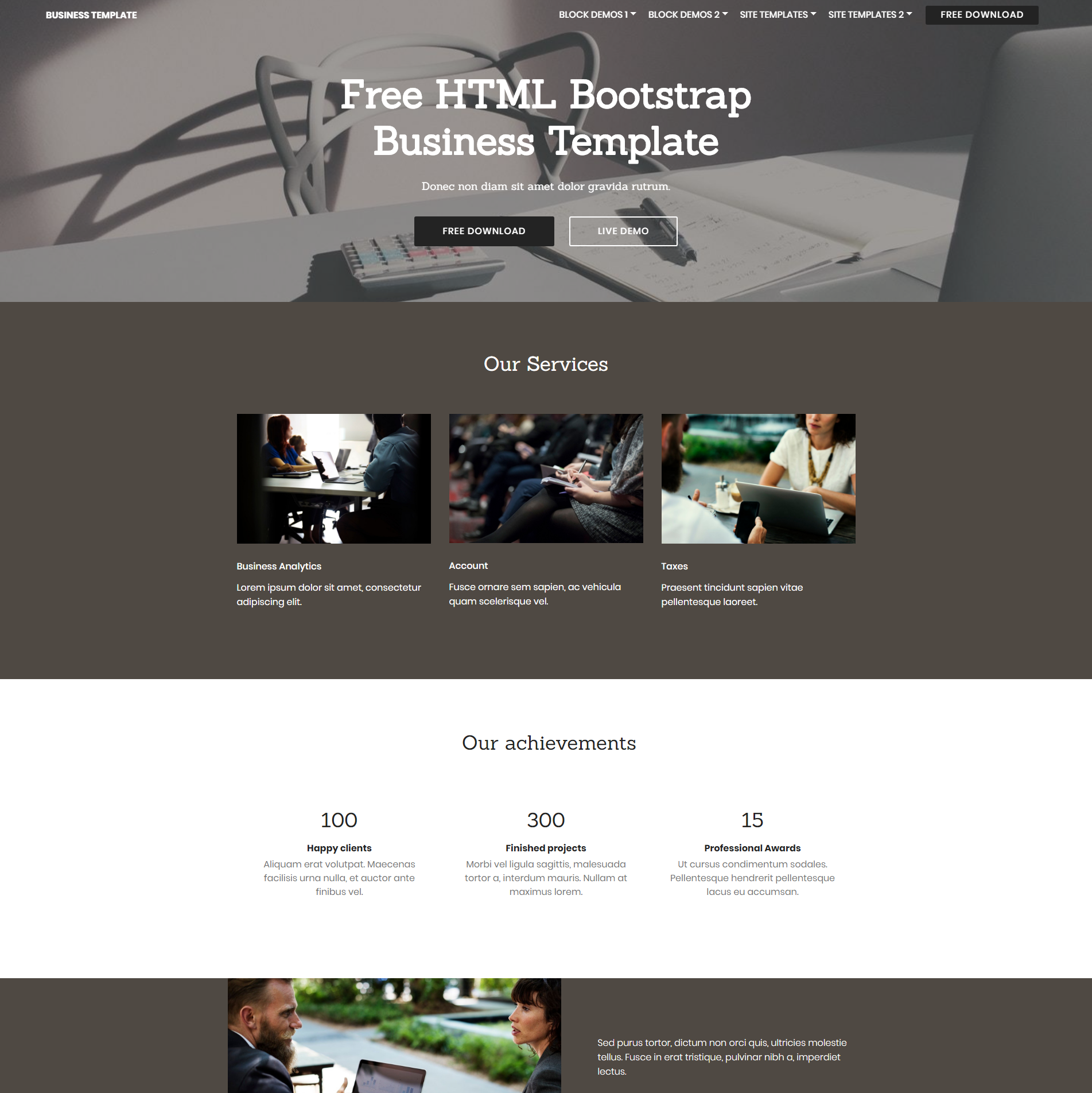 Responsive Bootstrap Business Templates