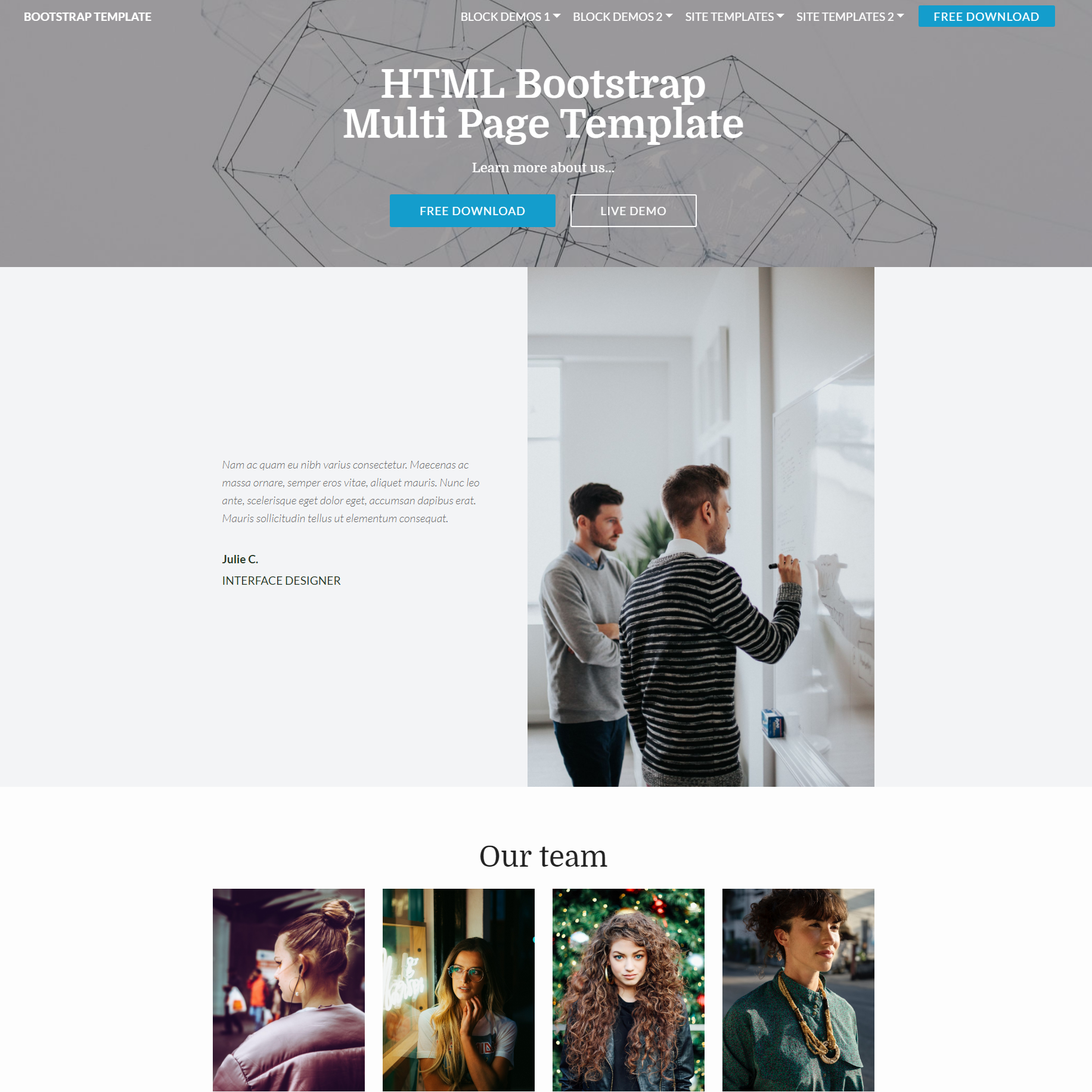 CSS3 Bootstrap Multi page Themes