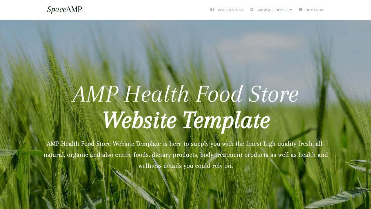 AMP Health Food Website Template